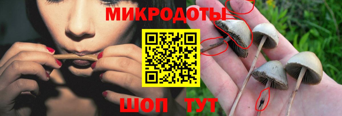 Галлюциногенные грибы мицелий  Галлюциногенные грибы мицелий  Нижнекамск  Вход с VPN 